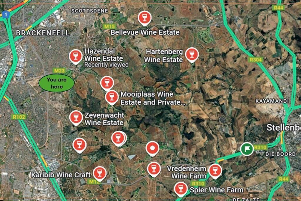 Near Stellenbosch Winelands Le Cap